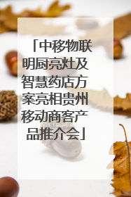 中移物联明厨亮灶及智慧药店方案亮相贵州移动商客产品推介会