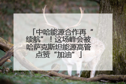 中哈能源合作再“续航”！这场峰会被哈萨克斯坦能源高管点赞“加油”