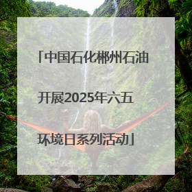 中国石化郴州石油开展2025年六五环境日系列活动