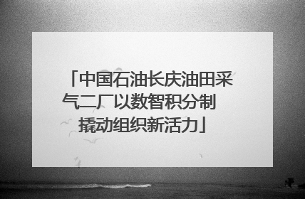 中国石油长庆油田采气二厂以数智积分制 撬动组织新活力