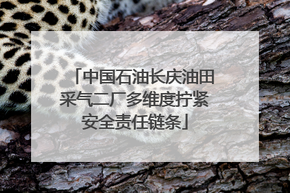 中国石油长庆油田采气二厂多维度拧紧安全责任链条