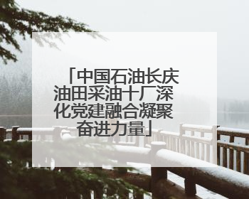 中国石油长庆油田采油十厂深化党建融合凝聚奋进力量