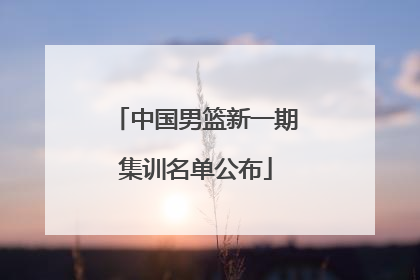 中国男篮新一期集训名单公布