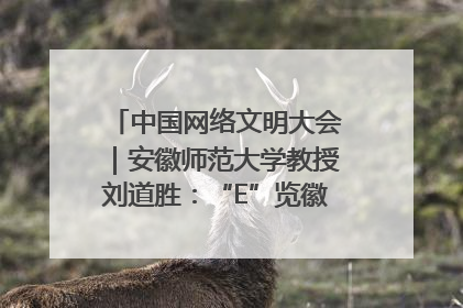 中国网络文明大会｜安徽师范大学教授刘道胜：“E”览徽风，构筑中华民族共有精神家园