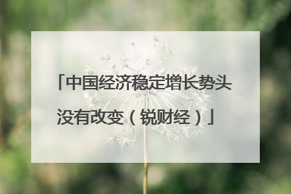 中国经济稳定增长势头没有改变（锐财经）