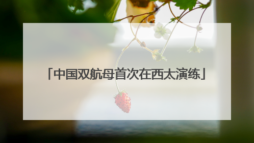中国双航母首次在西太演练