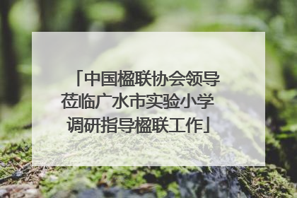 中国楹联协会领导莅临广水市实验小学调研指导楹联工作