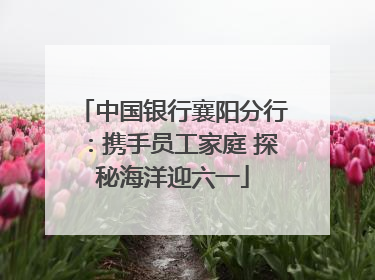 中国银行襄阳分行：携手员工家庭 探秘海洋迎六一
