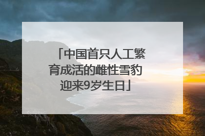 中国首只人工繁育成活的雌性雪豹迎来9岁生日