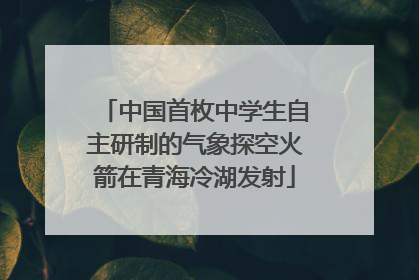 中国首枚中学生自主研制的气象探空火箭在青海冷湖发射