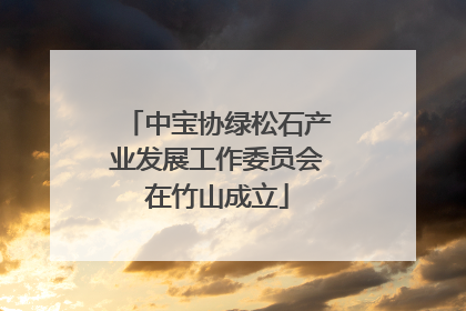 中宝协绿松石产业发展工作委员会在竹山成立