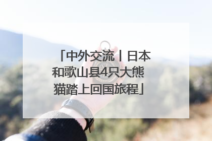 中外交流丨日本和歌山县4只大熊猫踏上回国旅程