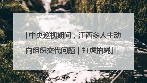 中央巡视期间，江西多人主动向组织交代问题｜打虎拍蝇