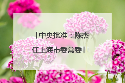 中央批准：陈杰任上海市委常委