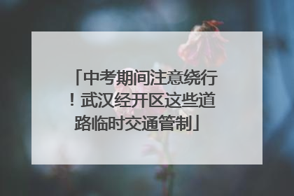 中考期间注意绕行！武汉经开区这些道路临时交通管制