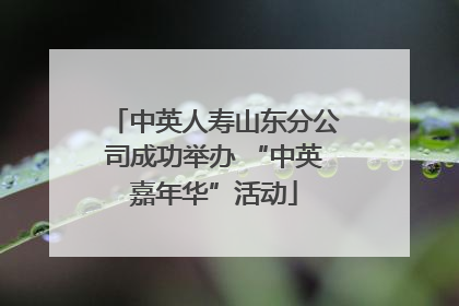 中英人寿山东分公司成功举办 “中英嘉年华”活动