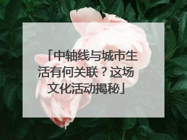 中轴线与城市生活有何关联？这场文化活动揭秘