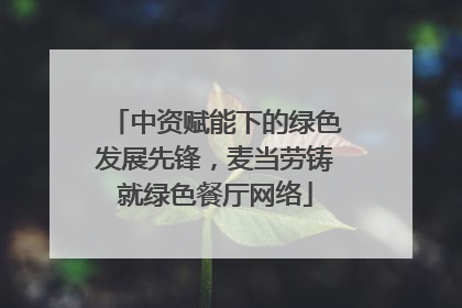 中资赋能下的绿色发展先锋，麦当劳铸就绿色餐厅网络