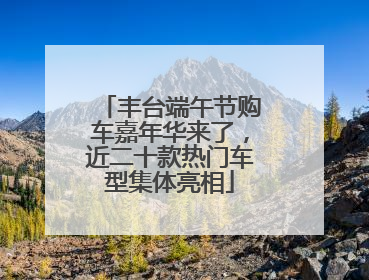 丰台端午节购车嘉年华来了，近二十款热门车型集体亮相
