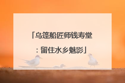 乌篷船匠师钱寿堂：留住水乡魅影