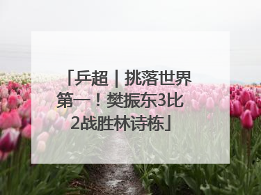 乒超｜挑落世界第一！樊振东3比2战胜林诗栋