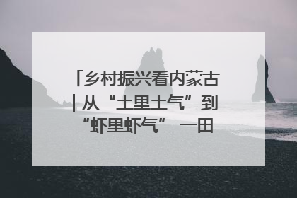 乡村振兴看内蒙古｜从“土里土气”到“虾里虾气” 一田双收模式火出圈