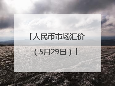 人民币市场汇价（5月29日）