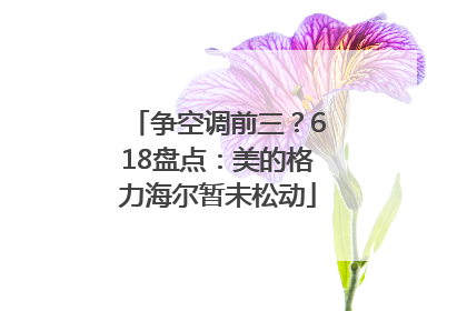 争空调前三？618盘点：美的格力海尔暂未松动