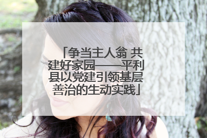 争当主人翁 共建好家园——平利县以党建引领基层善治的生动实践