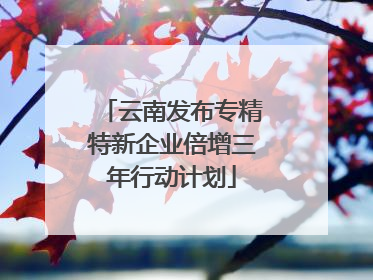 云南发布专精特新企业倍增三年行动计划