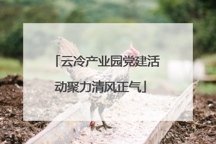 云冷产业园党建活动聚力清风正气