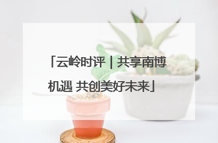 云岭时评｜共享南博机遇 共创美好未来