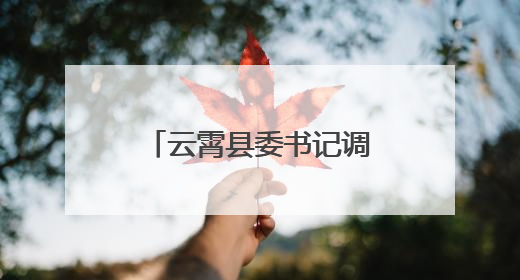 云霄县委书记调研督导全县生态环境保护重点工作