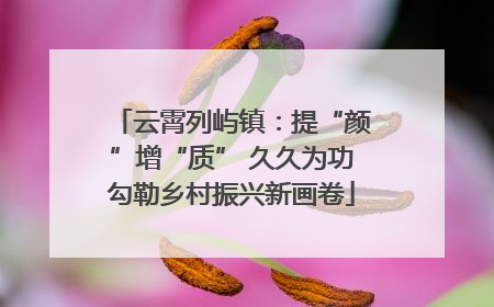 云霄列屿镇：提“颜”增“质” 久久为功勾勒乡村振兴新画卷