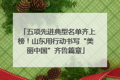 五项先进典型名单齐上榜！山东用行动书写“美丽中国”齐鲁篇章