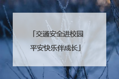 交通安全进校园 平安快乐伴成长