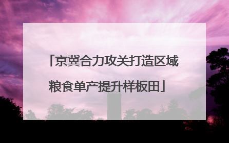 京冀合力攻关打造区域粮食单产提升样板田