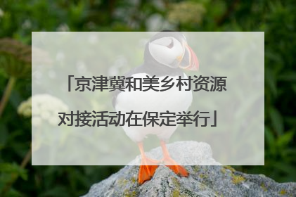 京津冀和美乡村资源对接活动在保定举行