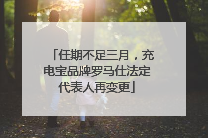 任期不足三月，充电宝品牌罗马仕法定代表人再变更