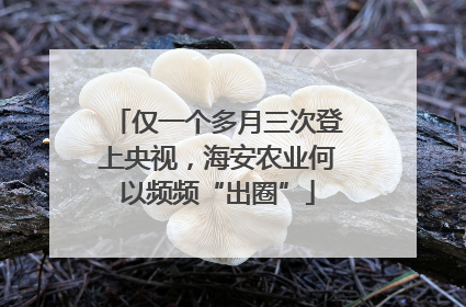 仅一个多月三次登上央视，海安农业何以频频“出圈”