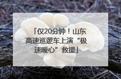 仅20分钟！山东高速巡逻车上演“极速暖心”救援