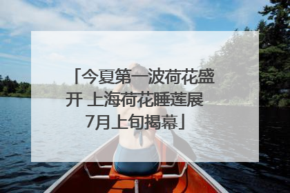 今夏第一波荷花盛开 上海荷花睡莲展7月上旬揭幕