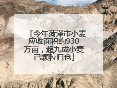 今年菏泽市小麦应收面积约930万亩，超九成小麦已颗粒归仓