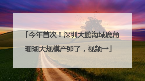 今年首次！深圳大鹏海域鹿角珊瑚大规模产卵了，视频→