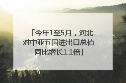 今年1至5月，河北对中亚五国进出口总值同比增长1.1倍