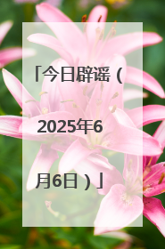 今日辟谣（2025年6月6日）
