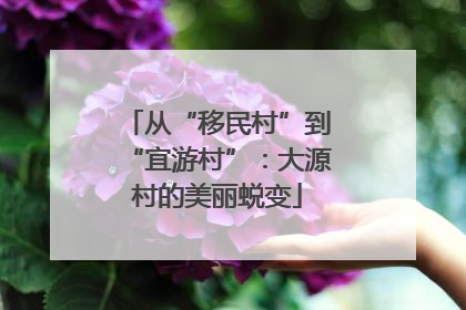 从“移民村”到“宜游村”：大源村的美丽蜕变