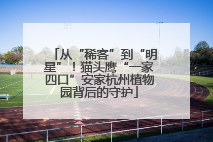 从“稀客”到“明星”！猫头鹰“一家四口”安家杭州植物园背后的守护