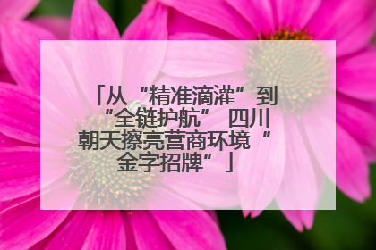 从“精准滴灌”到“全链护航” 四川朝天擦亮营商环境“金字招牌”
