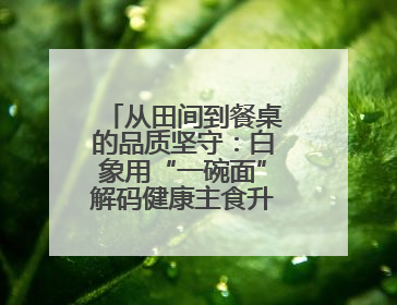 从田间到餐桌的品质坚守：白象用“一碗面”解码健康主食升级密码